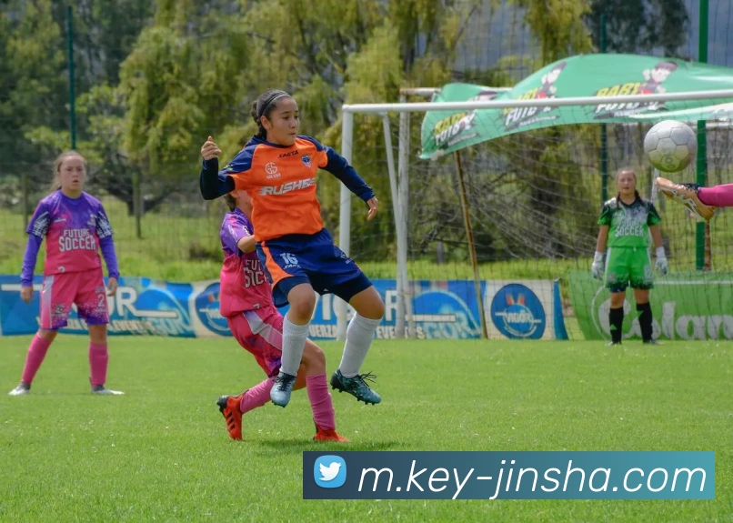 金沙娱乐城平台生态图